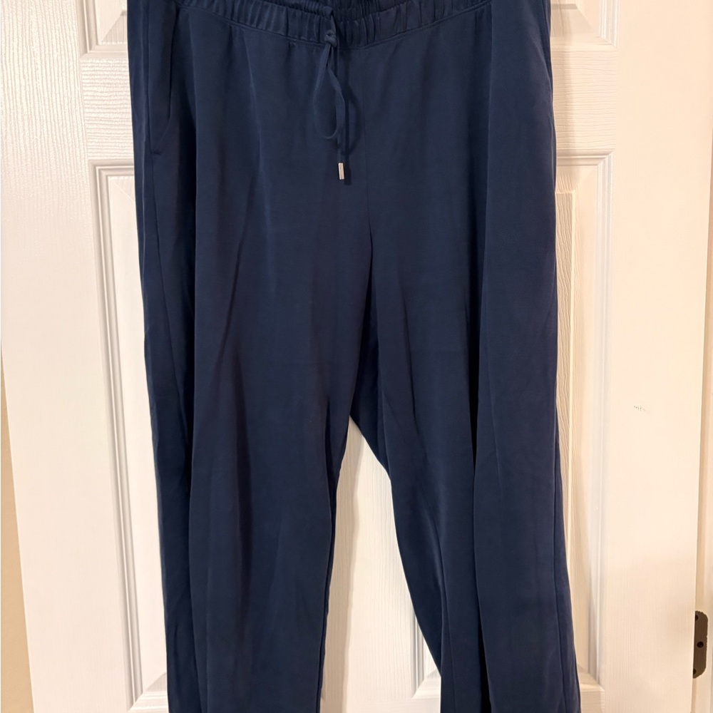 Loft Lou & Grey Deep Blue Casual Pants